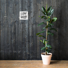 Load image into Gallery viewer, My Chai Brings All the Uncles to the Yard - Poster
